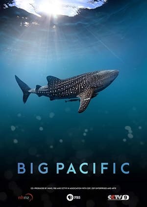 Big Pacific poszter