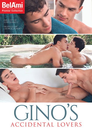 Gino's Accidental Lovers poszter