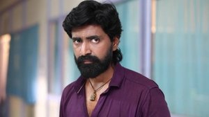 சின்னதம்பி Season 1 Ep.251 251. epizód