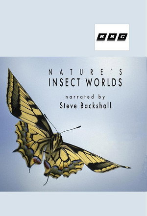 Insect Worlds poszter