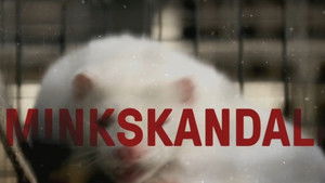 Minkskandalen - afgørelsens time háttérkép