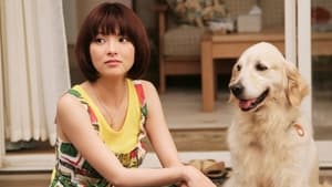 犬と私の10の約束 háttérkép