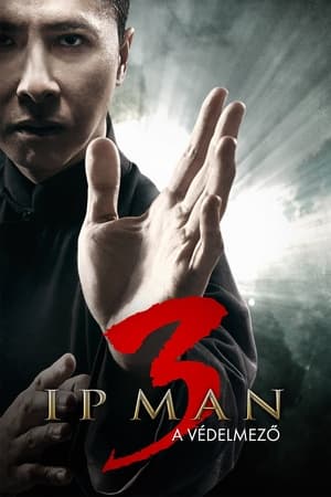 Ip Man - A védelmező