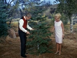 Green Acres Season 2 Ep.13 13. epizód