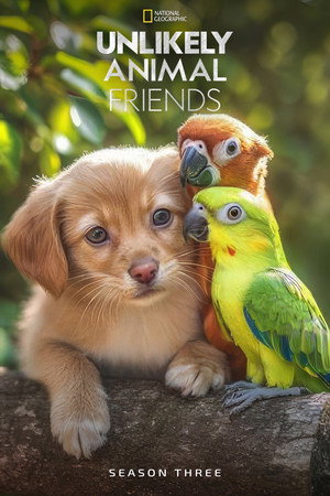 Unlikely Animal Friends