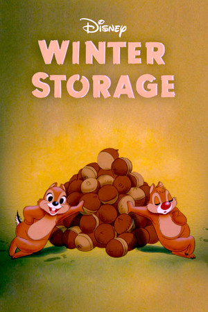 Winter Storage poszter