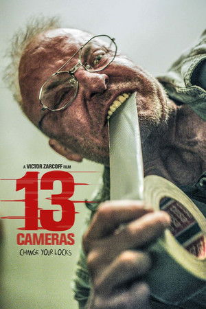13 Cameras poszter