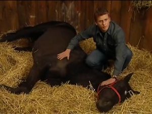 The Saddle Club Season 2 Ep.11 11. epizód