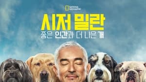 Cesar Millan: Jó gazdi, jó kutya kép