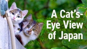 A Cat's-Eye View of Japan kép