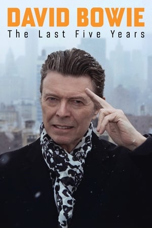 David Bowie: The Last Five Years poszter