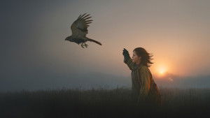 H Is for Hawk háttérkép