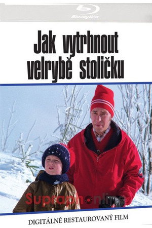 Jak vytrhnout velrybě stoličku poszter