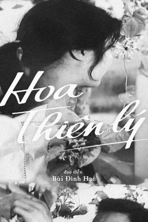 Hoa Thiên Lý poszter