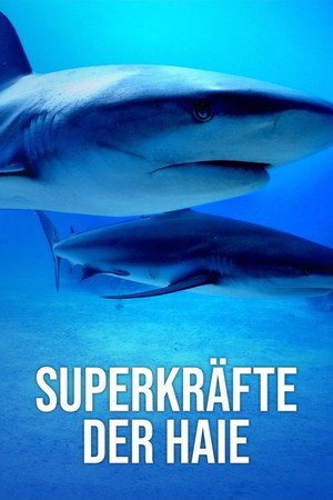 Shark Superpower poszter