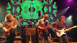 The Allman Brothers Band: 40 háttérkép