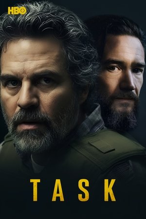 A megbízás poszter