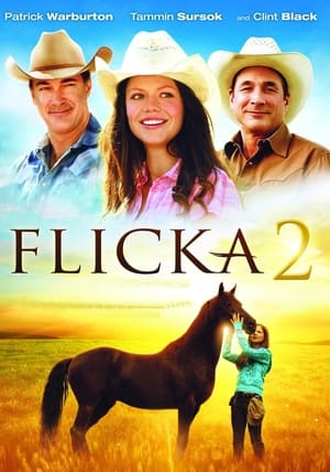 Flicka 2.