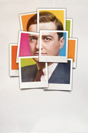 Mr. Polaroid poszter