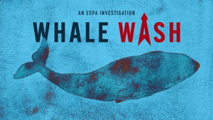 Whale Wash háttérkép