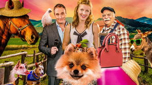 PawParazzi háttérkép