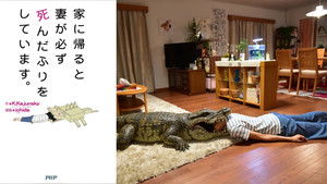 家に帰ると妻が必ず死んだふりをしています。 háttérkép