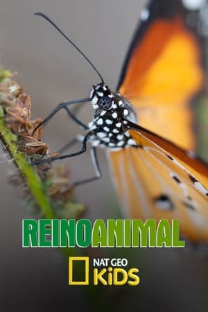 Reino Animal