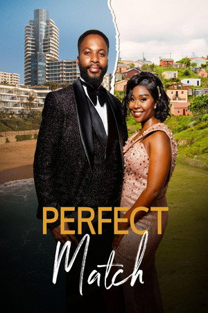 Perfect Match poszter