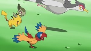 Pokémon 14. évad Ep.36 36. epizód