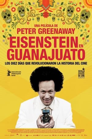 Eisenstein in Guanajuato poszter