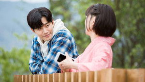 薔薇とチューリップ háttérkép