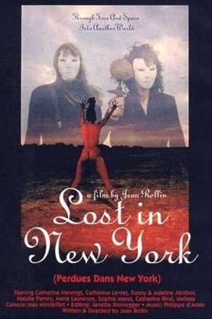 Perdues dans New York poszter