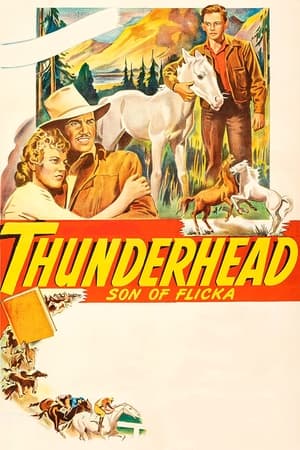 Thunderhead - Son of Flicka poszter