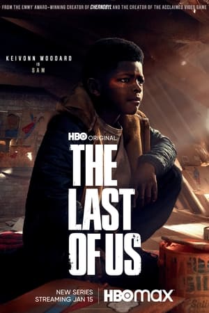 The Last of Us poszter