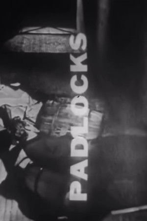 Padlocks poszter
