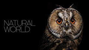 Natural World kép