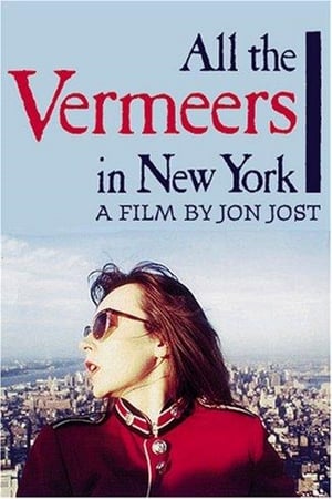 All the Vermeers in New York poszter