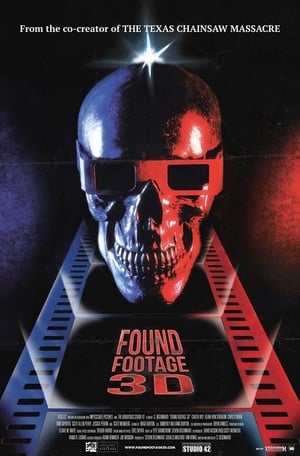 Found Footage 3D poszter