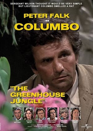 Columbo poszter