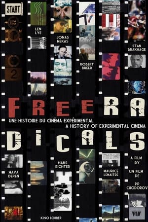 Free Radicals: A History of Experimental Film poszter