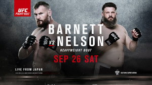 UFC Fight Night 75: Barnett vs. Nelson háttérkép
