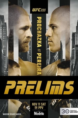 UFC 295: Prochazka vs. Pereira - Prelims