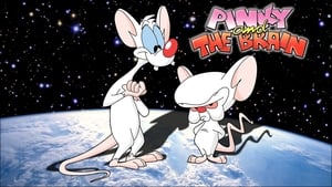 Pinky and the Brain kép