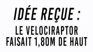 Idée reçue 1. évad Ep.12 12. epizód
