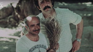 Թթենի háttérkép