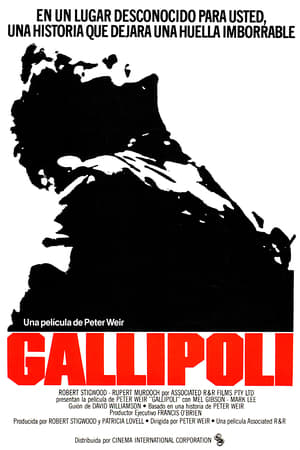 Gallipoli poszter