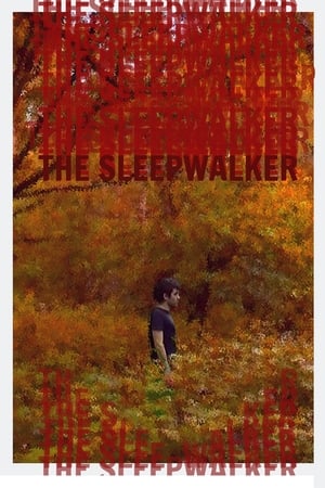 The Sleepwalker poszter