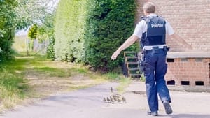 Helden Van Hier: Politie Oostende 1. évad Ep.2 2. epizód