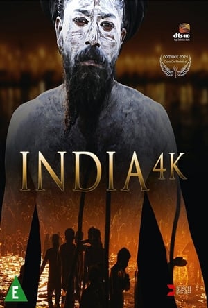 India 4K poszter