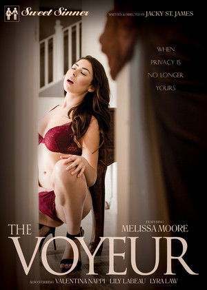 The Voyeur poszter